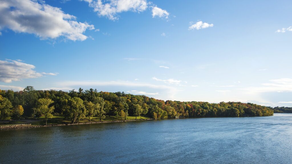 Biohacking, Gesundheitswahn Mit Nebenwirkungen Biohacking, Gesundheitswahn Mit Nebenwirkungen